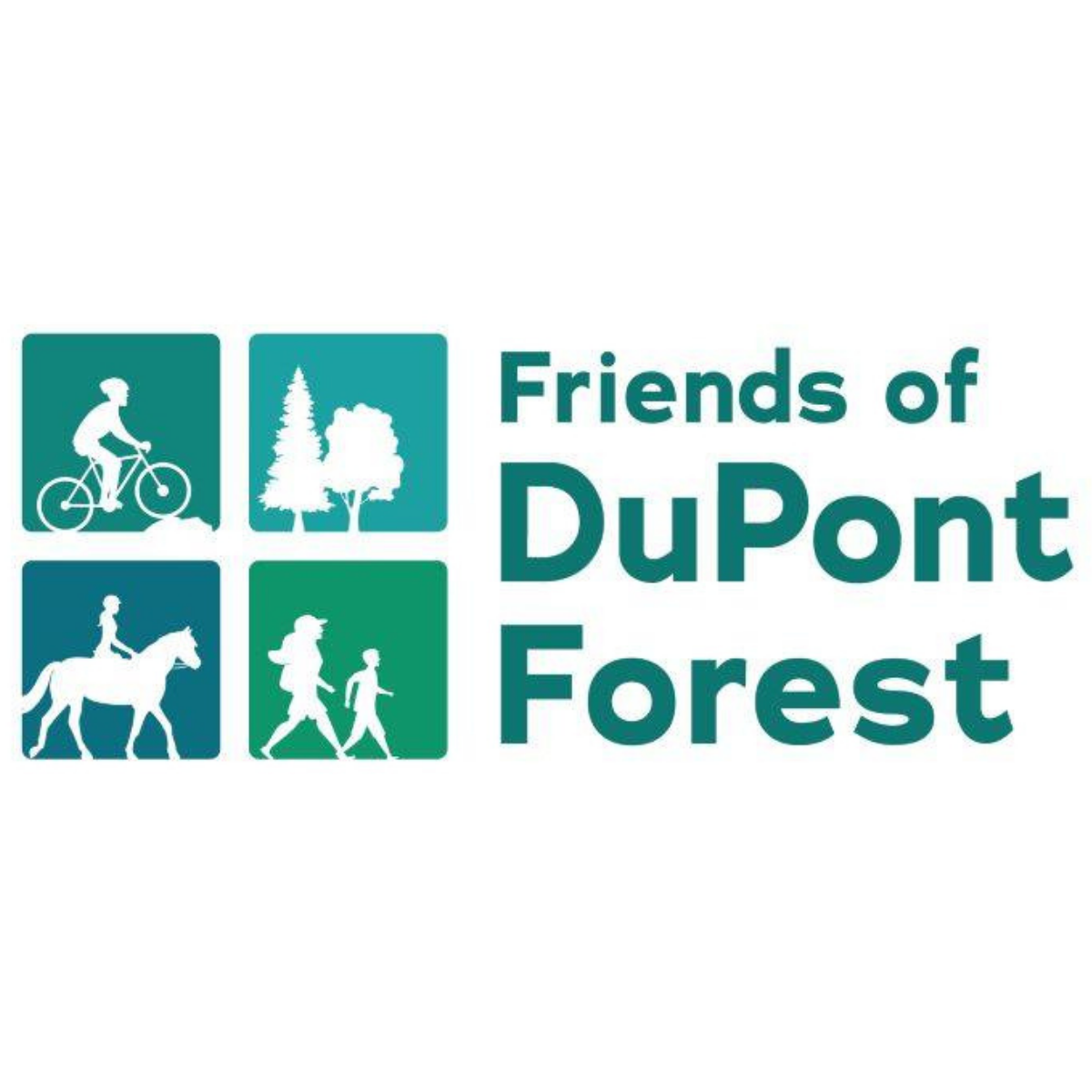 friends of dupont forest logo