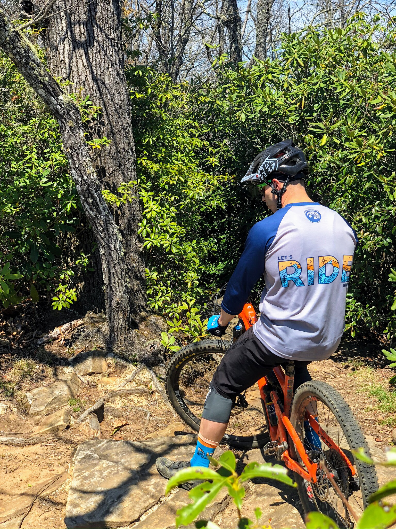LET'S RIDE BIKES COLLECTION