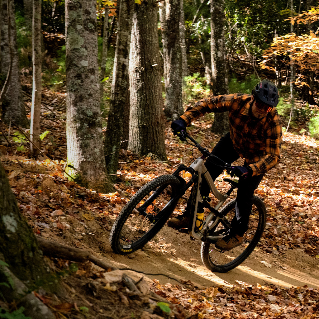 Riding gloves near me 2025