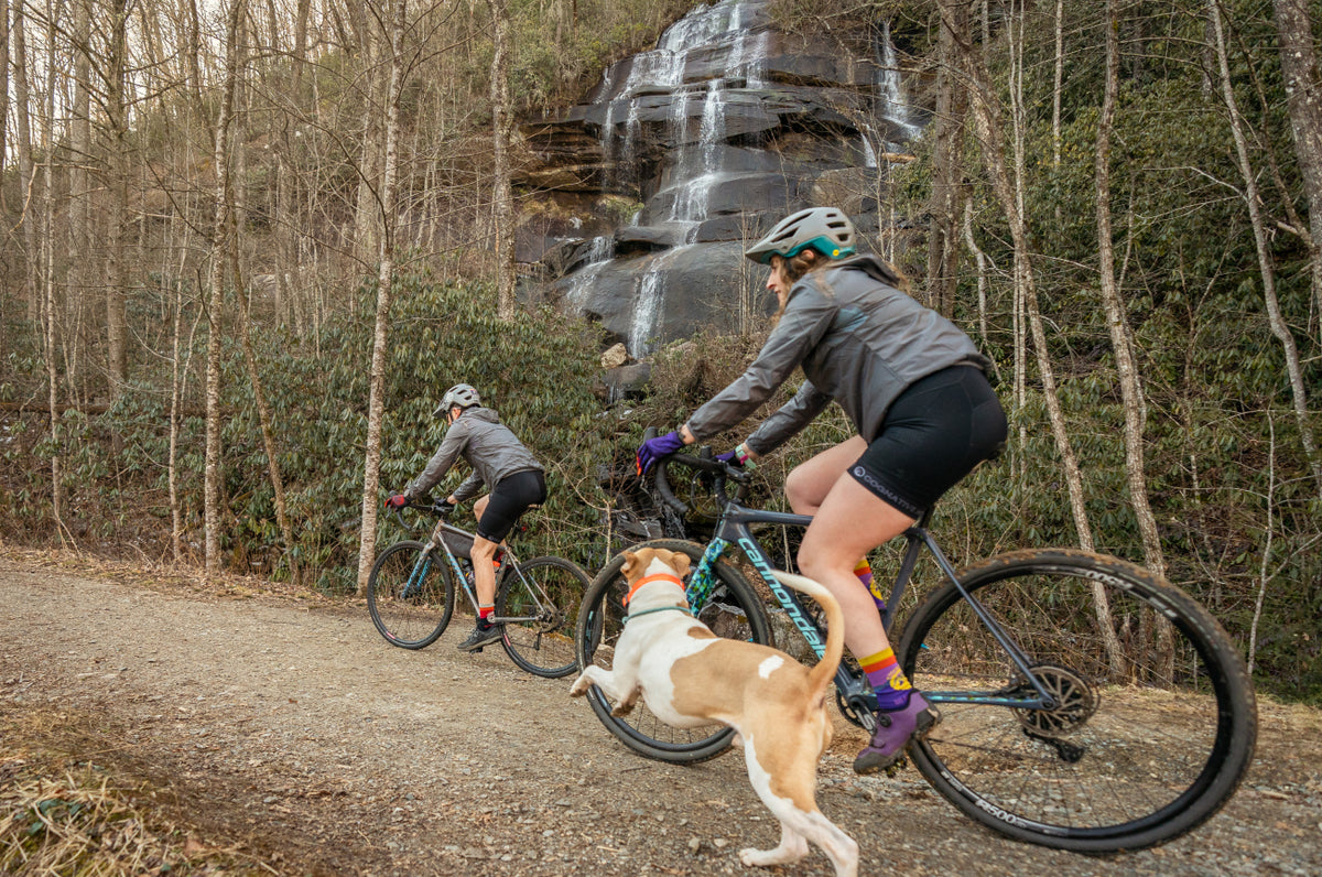 Women's mountain bike online chamois