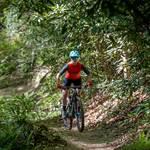 Womens online endurance bike